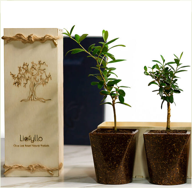 Liofyllo Product Photo